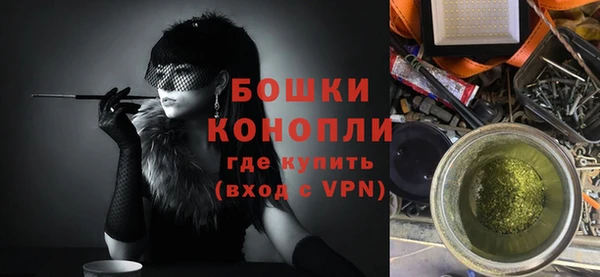 прущие грибы Беломорск