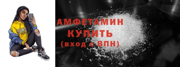 прущие грибы Беломорск
