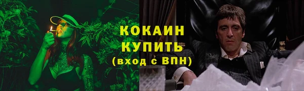 прущие грибы Беломорск