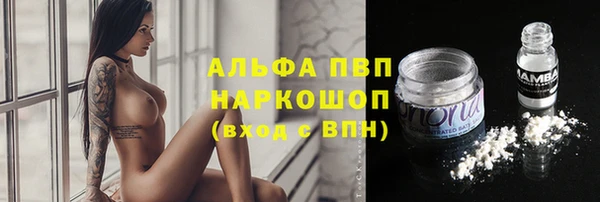 ГАЛЛЮЦИНОГЕННЫЕ ГРИБЫ Белокуриха