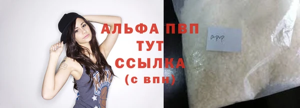 ГАЛЛЮЦИНОГЕННЫЕ ГРИБЫ Белокуриха