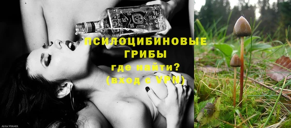 прущие грибы Беломорск