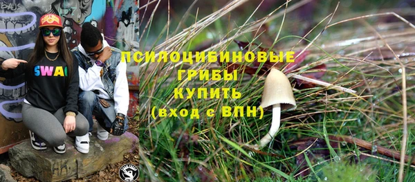 прущие грибы Беломорск