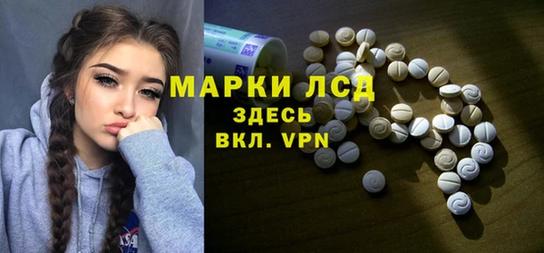 прущие грибы Беломорск